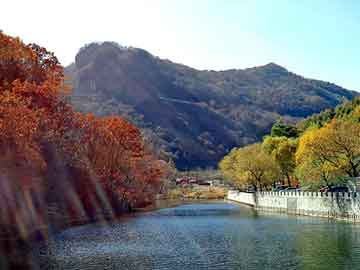 奥门天天开奖免费资料，北京蜜蜂堂怎么样